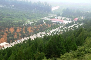 陵园性质解析：公益与经营墓地的本质区别